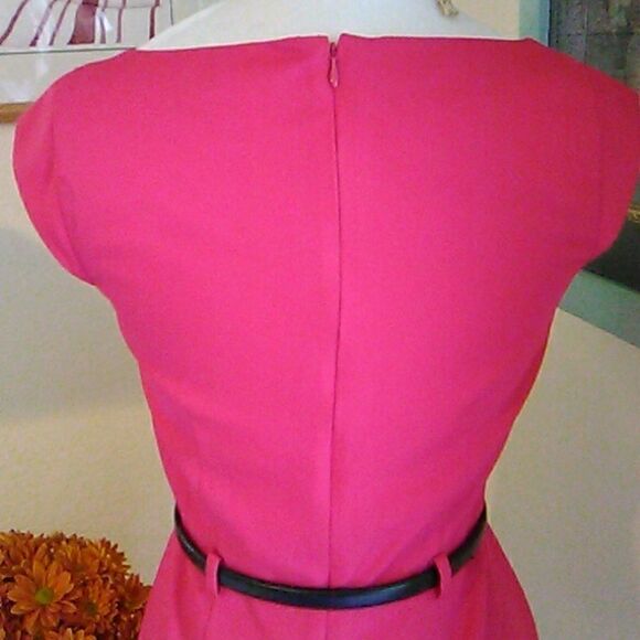 NWOT Banana Republic Deep Pink Sheath Dress - Picture 8 of 12
